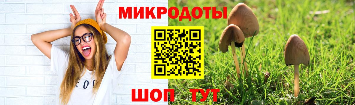 Псилоцибиновые грибы прущие грибы Джанкой